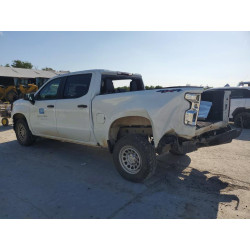 2021 CHEVROLET ALL Models 3GCUYAEF8MG359725 55312806
