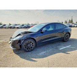 2021 TESLA MODEL 3 5YJ3E1EA8MF928779 49404856