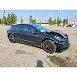 2021 TESLA MODEL 3 5YJ3E1EA8MF928779 49404856