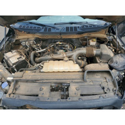 2023 FORD All Models 1FTMF1CP3PKE73209 52742986