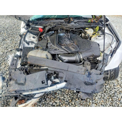 2021 FORD ALL Models 1FA6P8CF7M5116931 45652206