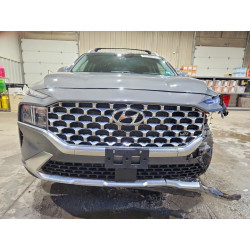 2021 HYUNDAI SANTA FE 5NMS3DAJ4MH364135 48149456