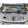 2024 JEEP WAGONEER 1C4SJRBP0RS120130 54912066