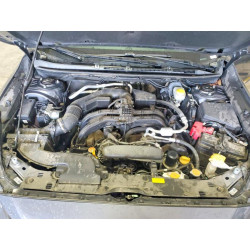 2024 SUBARU CROSSTREK 4S4GUHF64R3778676 55360736