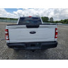 2023 FORD F150 1FTFW1E50PKF09877 55530916