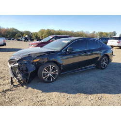 2020 TOYOTA CAMRY 4T1G11AK7LU986587 80778094
