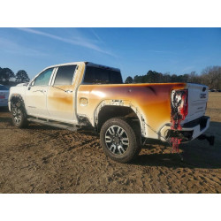 2020 GMC SIERRA 1GT49VEY0LF171674 98357705
