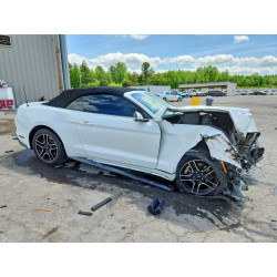 2020 FORD ALL Models 1FATP8UH2L5139549 49679126