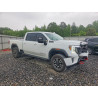 2022 GMC All Models 1GT49PE7XNF110242 51815196