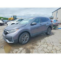 2022 HONDA CRV 7FARW2H52NE029451 51962796