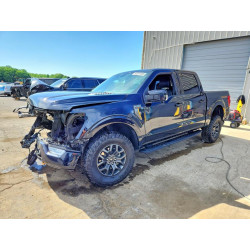 2021 FORD F150 1FTEW1E89MFC18739 53354496