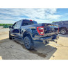 2021 FORD F150 1FTEW1E89MFC18739 53354496