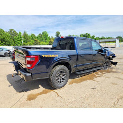 2021 FORD F150 1FTEW1E89MFC18739 53354496
