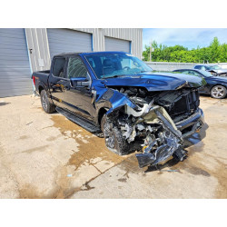 2021 FORD F150 1FTEW1E89MFC18739 53354496