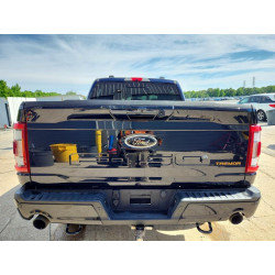 2021 FORD F150 1FTEW1E89MFC18739 53354496