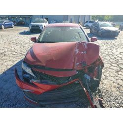 2023 TOYOTA CAMRY 4T1C11AK5PU134565 53743796