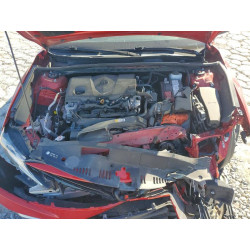 2023 TOYOTA CAMRY 4T1C11AK5PU134565 53743796