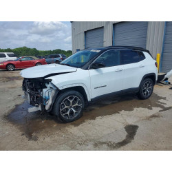 2025 JEEP COMPASS 3C4NJDCN2ST511734 53825186