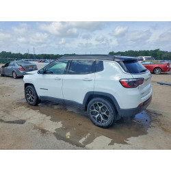 2025 JEEP COMPASS 3C4NJDCN2ST511734 53825186