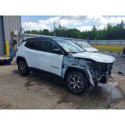 2025 JEEP COMPASS 3C4NJDCN2ST511734 53825186