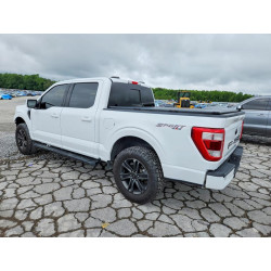 2021 FORD F-150 1FTEW1EP0MFB93124 54235816