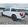 2021 FORD F-150 1FTEW1EP0MFB93124 54235816