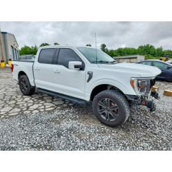2021 FORD F-150 1FTEW1EP0MFB93124 54235816