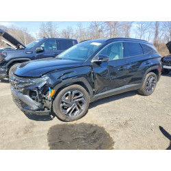 2025 HYUNDAI TUCSON HYB KM8JEDD11SU335002 48289706