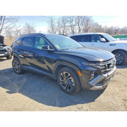 2025 HYUNDAI TUCSON HYB KM8JEDD11SU335002 48289706