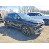 2025 HYUNDAI TUCSON HYB KM8JEDD11SU335002 48289706