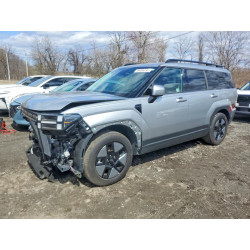 2024 HYUNDAI SANTA FE H 5NMP24G14RH011143 49096236