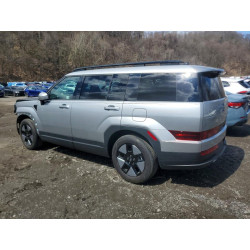 2024 HYUNDAI SANTA FE H 5NMP24G14RH011143 49096236