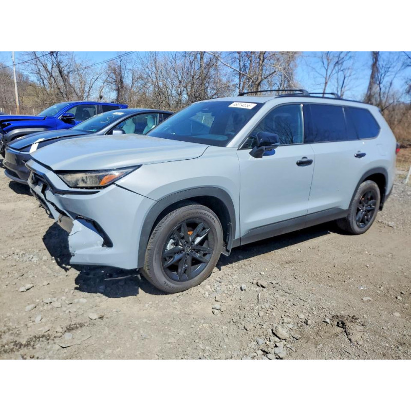2025 TOYOTA GRAND HIGH 5TDACAB50SS054828 49314556