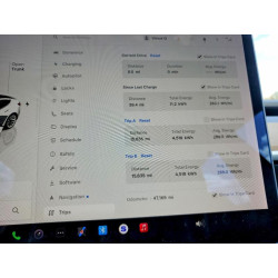 2022 TESLA MODEL 3 5YJ3E1EB6NF199899 52992896