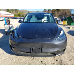2024 TESLA MODEL Y 7SAYGDEE1RA308805 48284376