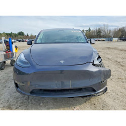 2023 TESLA MODEL Y 7SAYGDEE7PA207894 50168246