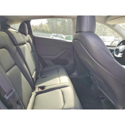 2023 TESLA MODEL Y 7SAYGDEE7PA207894 50168246