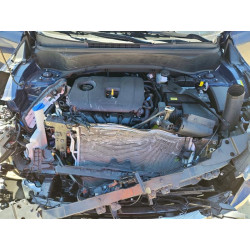 2025 KIA SELTOS KNDERCAAXS7702793 52500556
