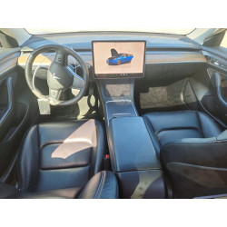 2023 TESLA MODEL 3 5YJ3E1EA4PF451515 54723896