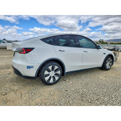 2021 TESLA MODEL Y 5YJYGDED5MF107358 55037596