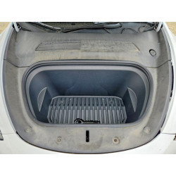 2021 TESLA MODEL Y 5YJYGDED5MF107358 55037596