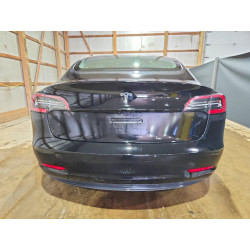 2023 TESLA MODEL 3 5YJ3E1EA4PF447531 54247706