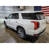 2020 HYUNDAI PALISADE KM8R4DHE1LU039580 49859966