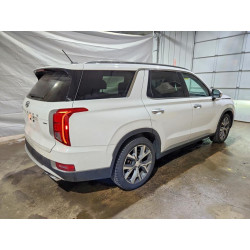 2020 HYUNDAI PALISADE KM8R4DHE1LU039580 49859966