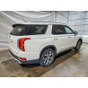 2020 HYUNDAI PALISADE KM8R4DHE1LU039580 49859966