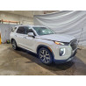 2020 HYUNDAI PALISADE KM8R4DHE1LU039580 49859966