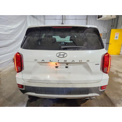 2020 HYUNDAI PALISADE KM8R4DHE1LU039580 49859966
