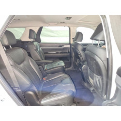 2020 HYUNDAI PALISADE KM8R4DHE1LU039580 49859966