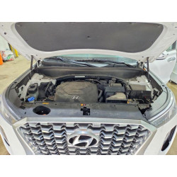 2020 HYUNDAI PALISADE KM8R4DHE1LU039580 49859966