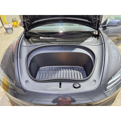 2025 TESLA MODEL 3 5YJ3E1EA8SF024962 50066736